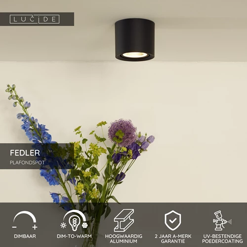 Lucide FEDLER - Plafondspot - Ø 12 cm - LED Dim to warm - GU10 (ES111) - 1x12W 2200K/3000K - Zwart - USP